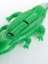 Crocodilo, verde