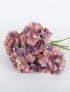 Bouquet of hydrangea,s rose-violet